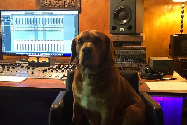 Vinny - Assistant Engineer